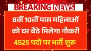 Mukhyamantri Work From Home Yojana 2025